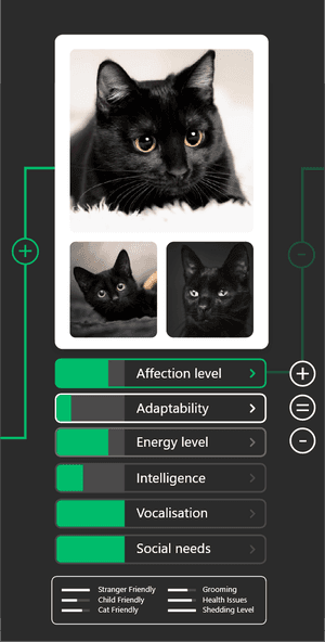 Cat card 3